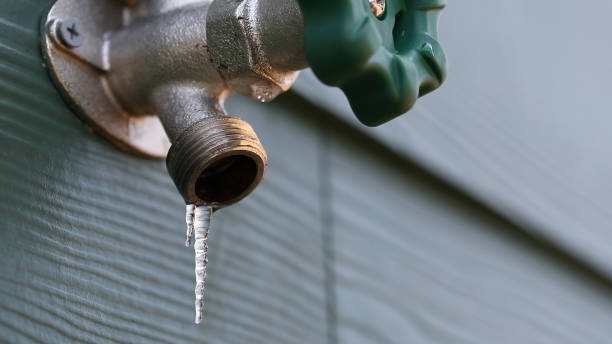 Best Plumbing Inspection Services  in El Dorado Hills, CA